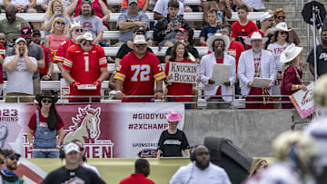 Jun 8, 2025; Birmingham, AL, USA; Fans cheer during the first half of the USFL conference championship football game between the Michigan Panthers and the Birmingham Stallions at Protective Stadium. Mandatory Credit: Vasha Hunt-Imagn Images