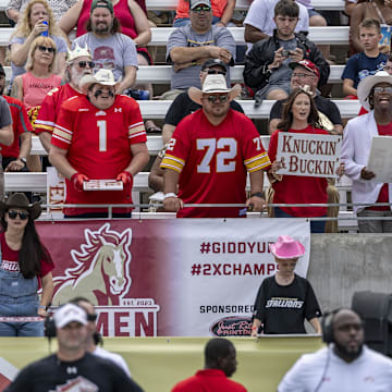 Jun 8, 2025; Birmingham, AL, USA; Fans cheer during the first half of the USFL conference championship football game between the Michigan Panthers and the Birmingham Stallions at Protective Stadium. Mandatory Credit: Vasha Hunt-Imagn Images