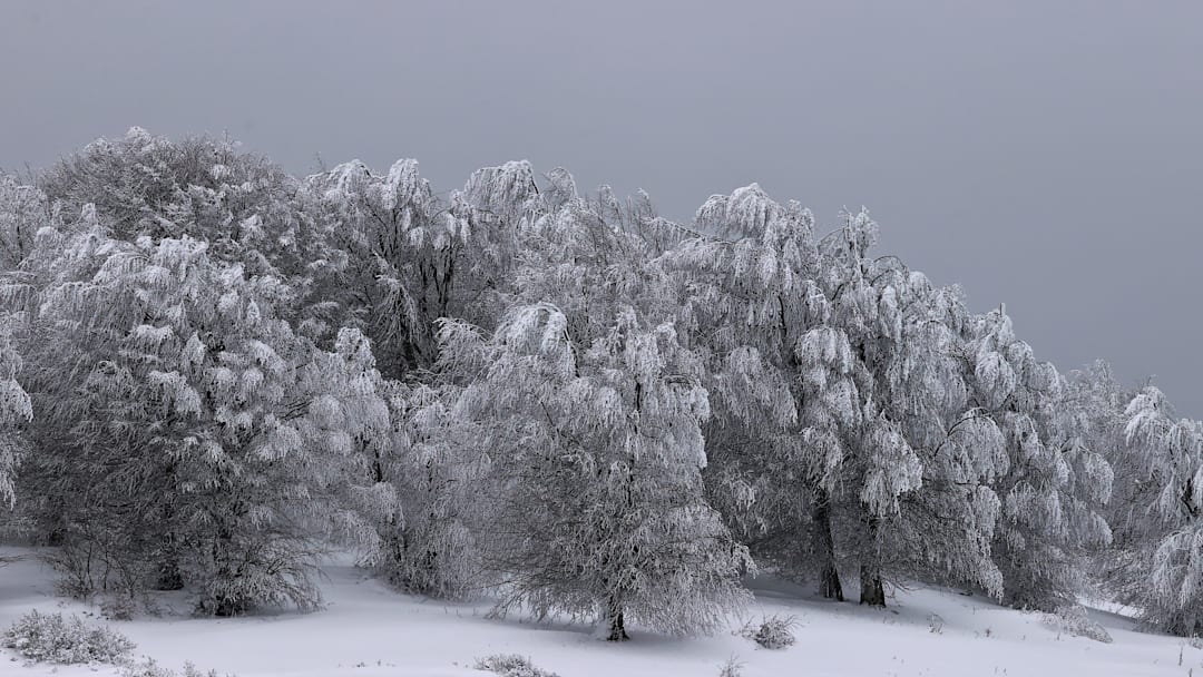 Kocadag Plateau, a popular destination for nature lovers, turned white with snow in Turkiye's Samsun
