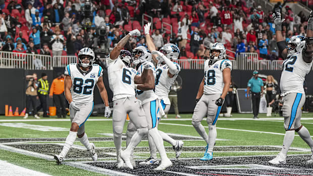 Carolina Panther