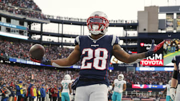 Dec 29, 2019; Foxborough, Massachusetts, USA; New England Patriots running back James White (28) celebrates a touchdown against the Miami Dolphins during the second half at Gillette Stadium. Mandatory Credit: Winslow Townson-Imagn Images