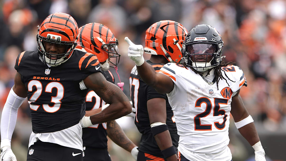 Chicago Bears v Cincinnati Bengals