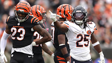 Chicago Bears v Cincinnati Bengals