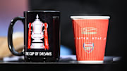 Soccer : The FA Cup Fourth Round - Arsenal v Aston Villa