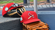 Mar 3, 2017; West Palm Beach, FL, USA; A view of St. Louis Cardinals hats and gloves on the steps of the dugout in the game against the Washington Nationals at The Ballpark of the Palm Beaches. Mandatory Credit: Jasen Vinlove-Imagn Images