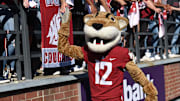 Sep 11, 2021; Pullman, Washington, USA; Washington State Cougars mascot, Butch  high fives the student section during a game against the Portland State Vikings in the first half at Gesa Field at Martin Stadium. Mandatory Credit: James Snook-Imagn Images