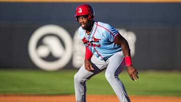Springfield Cardinals v Amarillo Sod Poodles
