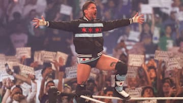 WWE Superstar CM Punk