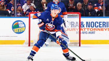 Detroit Red Wings v New York Islanders