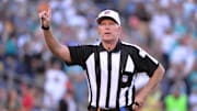 The former NFL referee didn't hold back his thoughts