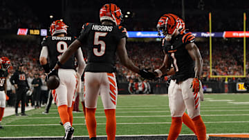 Cincinnati Bengals WR Tee Higgins