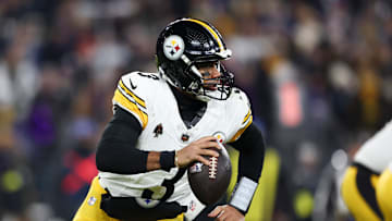 AFC Wild Card Playoffs: Pittsburgh Steelers v Baltimore Ravens