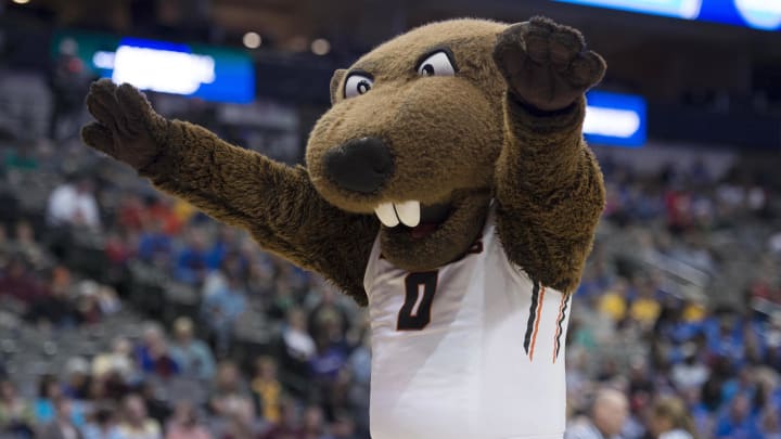 Mar 26, 2016; Dallas, TX, USA; The Oregon State Beavers mascot fires up the crowd during the second half of the game against the DePaul Blue Demons in the semifinals of the Dallas regional of the women's NCAA Tournament at American Airlines Center. The Beavers defeat the Blue Demons 83-71. Mandatory Credit: Jerome Miron-USA TODAY Sports