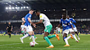 Everton FC v Newcastle United - Premier League