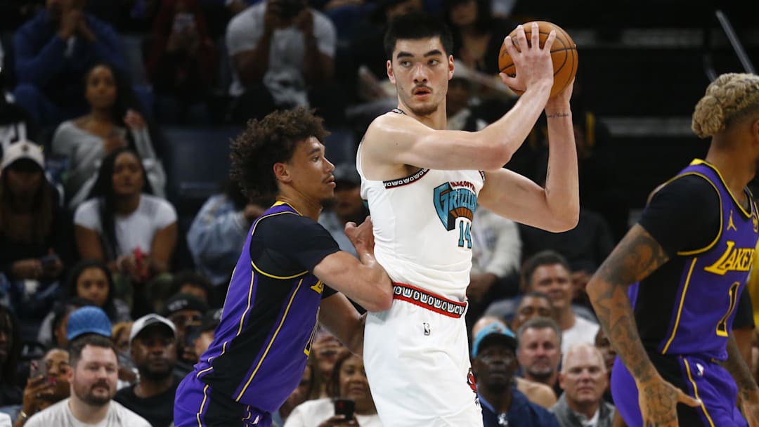 Nov 6, 2024; Memphis, Tennessee, USA; Memphis Grizzlies center Zach Edey (14) handles the ball as Los Angeles Lakers center Jaxson Hayes (11) defends during the first half at FedExForum. Mandatory Credit: Petre Thomas-Imagn Images
