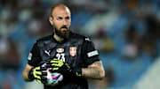 Vanja Milinkovic-Savic