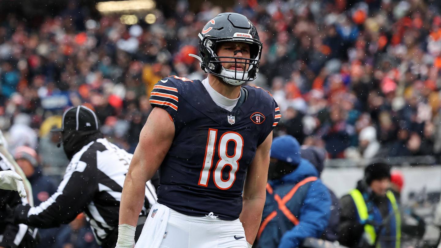 Robert Tonyan Criticizes Bears' Coaches After Signing With Vikings - Vimarsana News