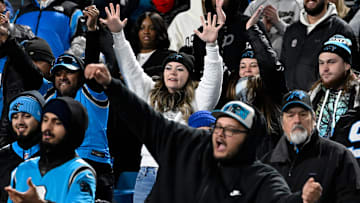 Carolina Panthers fans react in the fourth quarter at Bank of America Stadium.
