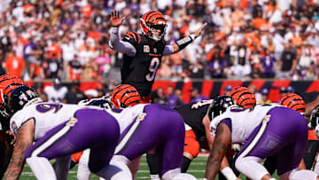 Baltimore Ravens v Cincinnati Bengals