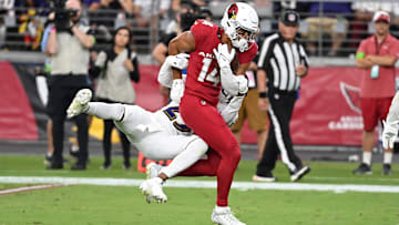 Baltimore Ravens v Arizona Cardinals