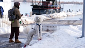 Daily life in Toronto