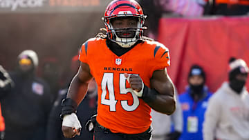 Pittsburgh Steelers v Cincinnati Bengals