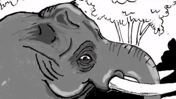 Crimson Tikes: Very Superstitious (Alabama at Georgia)