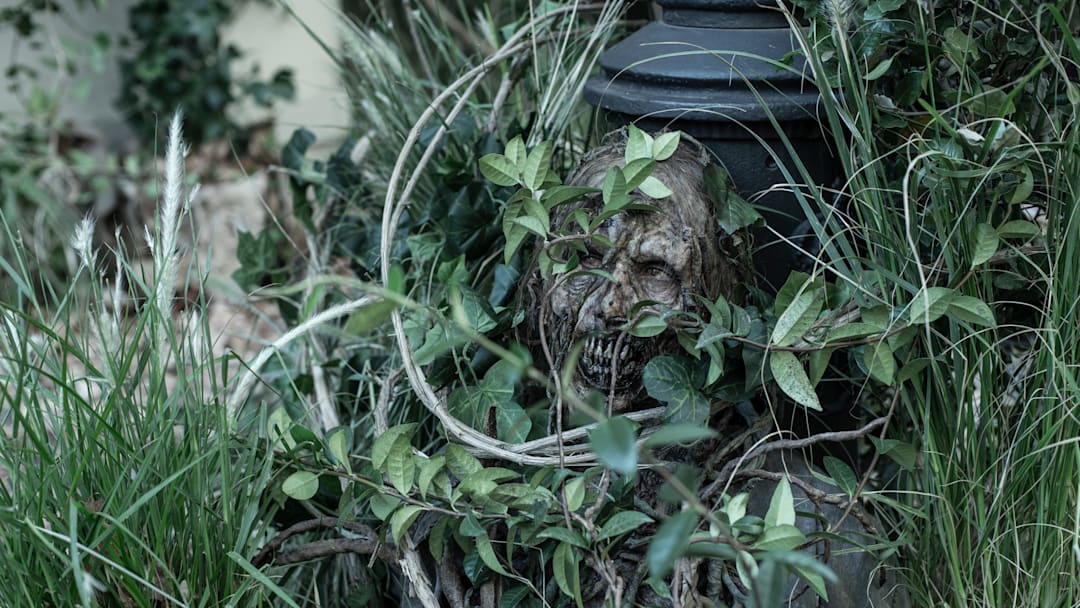 The Walking Dead: Daryl Dixon _ Season 3 - Photo Credit: Manuel Fernandez-Valdes/AMC