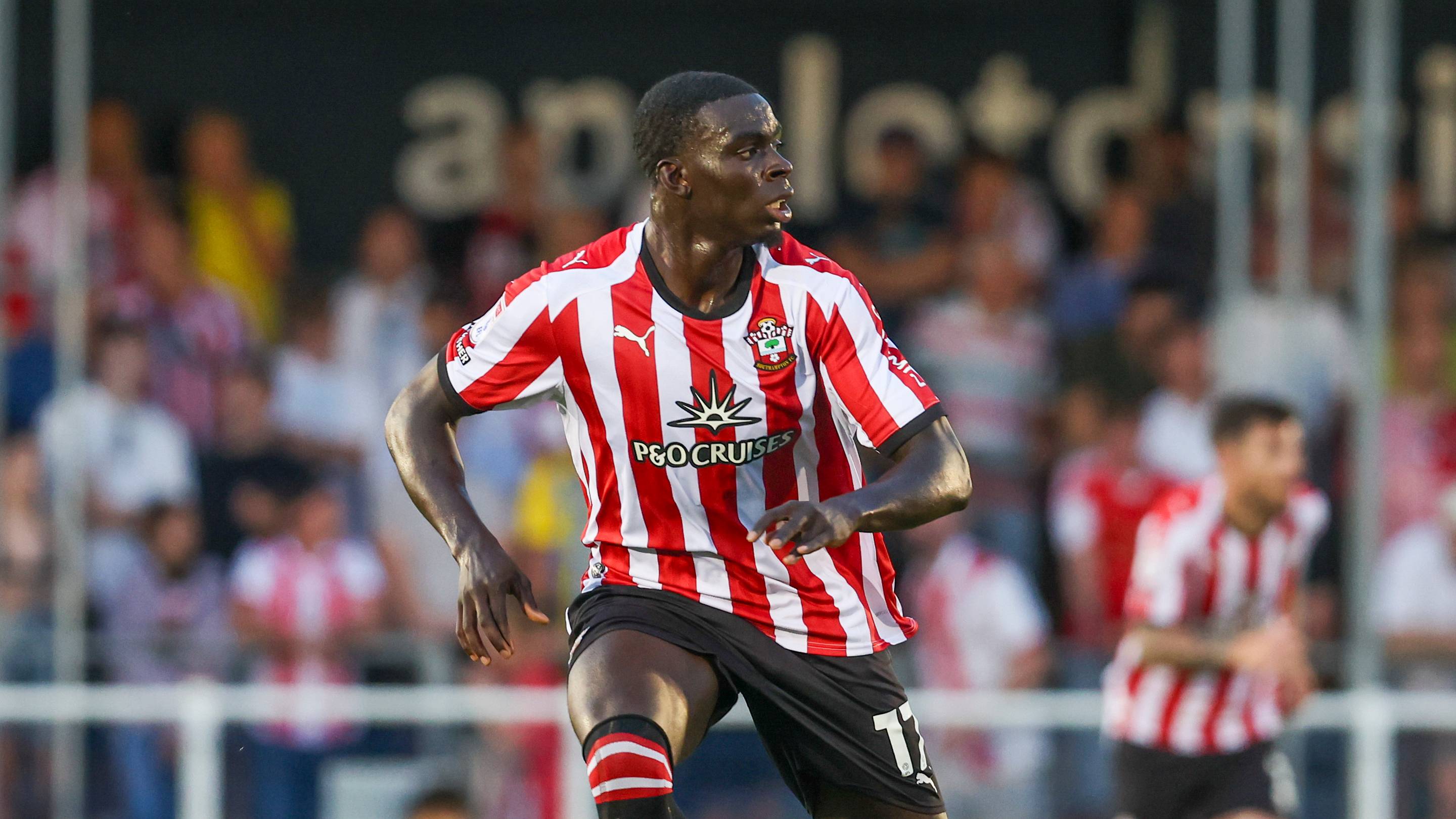 Can this forgotten Southampton star realise his potential under Tonda Eckert?
