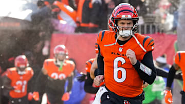 Pittsburgh Steelers v Cincinnati Bengals