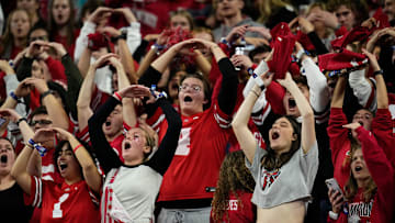 Ohio State Buckeyes fans cheer during the Big Ten Conference championship game against the Indiana Hoosiers at Lucas Oil Stadium in Indianapolis on Dec. 6, 2025. Ohio State lost 13-10.