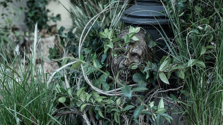 The Walking Dead: Daryl Dixon _ Season 3 - Photo Credit: Manuel Fernandez-Valdes/AMC