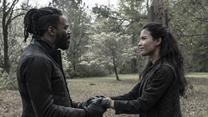 Colman Domingo as Victor Strand, Danay Garcia as Luciana - Fear the Walking Dead _ Season 8, Episode 12 - Photo Credit: Seth F. Johnson/AMC