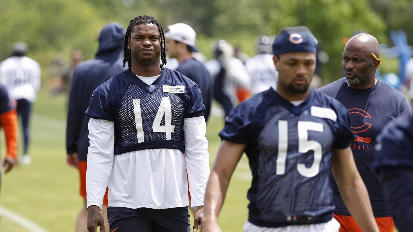 Assessing Bears' Improvement Is Case of Opinion Over Analytics - Vimarsana News