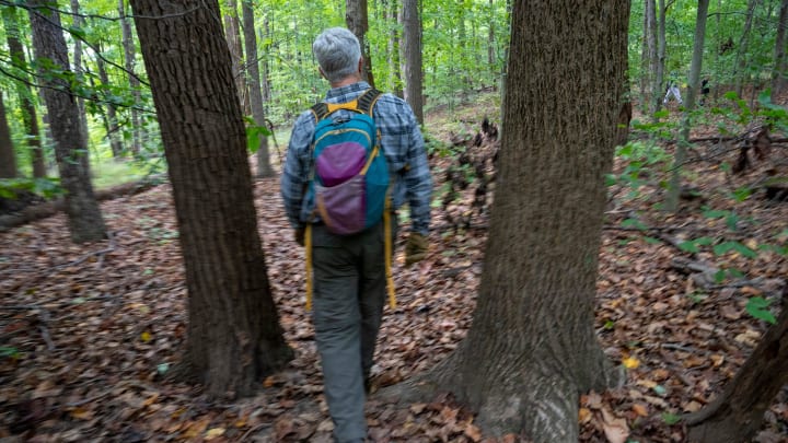 Jeff Stant, Executive Director at Indiana Forest Alliance, hikes in a remote part of Brown County, Indiana, Wednesday, Oct. 11, 2023. Senator Mike Braun has introduced a bill that would double the size of the Charles C. Deam Wilderness Area, and designate land near Lake Monroe as a National Recreation Area.