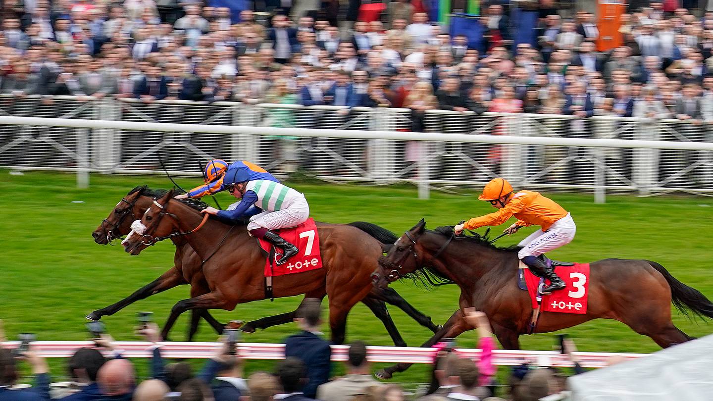 The Reason Racehorses Have Such Weird Names