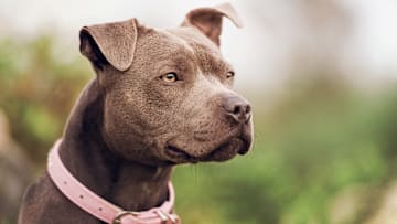 What would you name her?