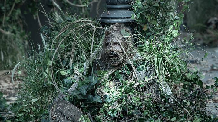 A Walker from The Walking Dead: Daryl Dixon season 3