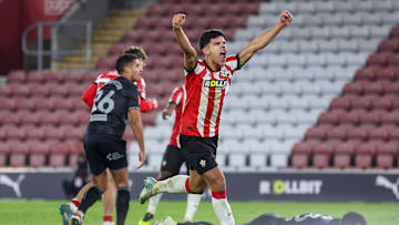 Southampton v Swansea City - Emirates FA Cup Third Round