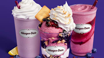 Summer Blueberry Collection