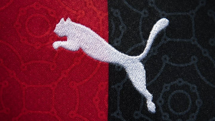 The Puma Logo