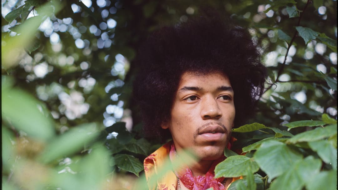 Jimi Hendrix in the trees