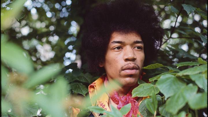 Jimi Hendrix in the trees