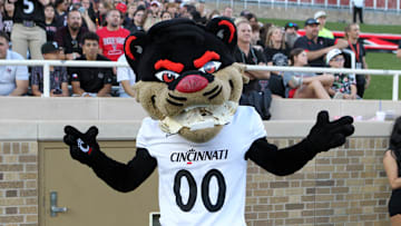 Sep 28, 2024; Lubbock, Texas, USA;  The Cincinnati Bearcats mascot on the field in the first half during the game against the Texas Tech Red Raiders at Jones AT&T Stadium and Cody Campbell Field. Mandatory Credit: Michael C. Johnson-Imagn Images