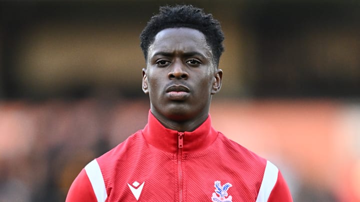 Wolverhampton Wanderers v Crystal Palace - Premier League