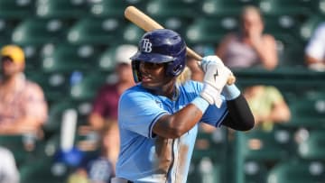 Tampa Bay Rays v Minnesota Twins