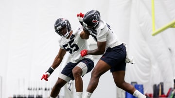 Houston Texans Mandatory Minicamp