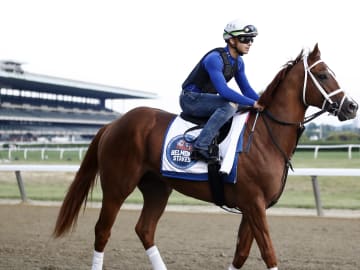 155th Belmont Stakes - Previews