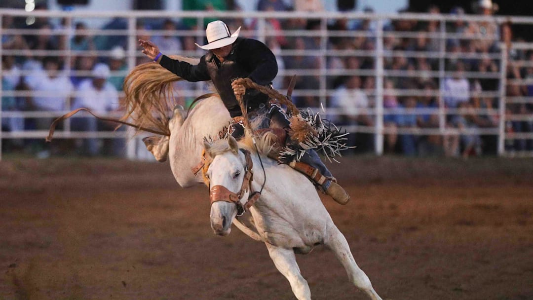 Saddle Bronc Riding action at a PRCA professional rodeo