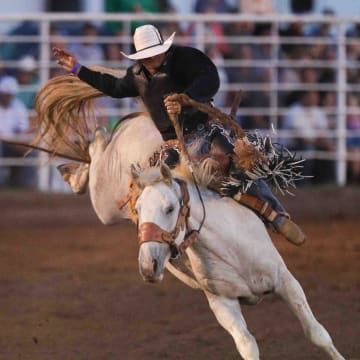 Saddle Bronc Riding action at a PRCA professional rodeo